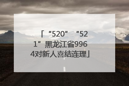 “520”“521”黑龙江省9964对新人喜结连理
