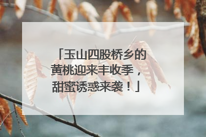 玉山四股桥乡的黄桃迎来丰收季，甜蜜诱惑来袭！