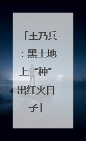 王乃兵：黑土地上“种”出红火日子