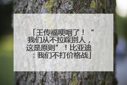 王传福哽咽了！“我们从不拉踩别人，这是原则”！比亚迪：我们不打价格战