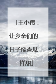 王小伟：让乡亲们的日子像香瓜一样甜