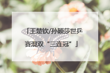 王楚钦/孙颖莎世乒赛混双“三连冠”