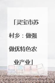灵宝市苏村乡：做强做优特色农业产业