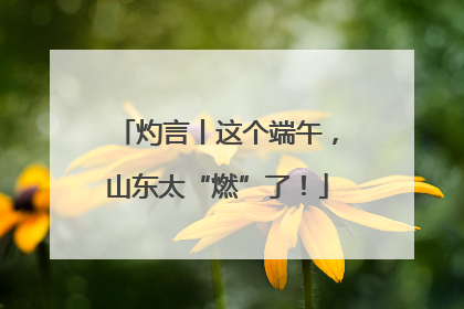 灼言丨这个端午，山东太“燃”了！