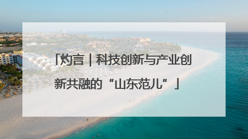 灼言｜科技创新与产业创新共融的“山东范儿”