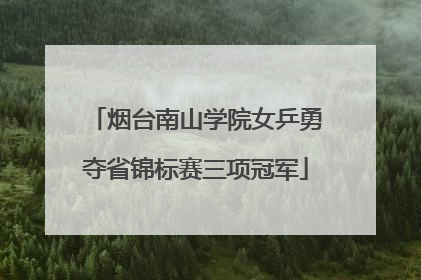 烟台南山学院女乒勇夺省锦标赛三项冠军