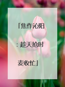 焦作沁阳：趁天抢时麦收忙