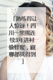 熟练得让人惊讶！四川一黑熊连续3年进村偷蜂蜜，藏哪都找得到