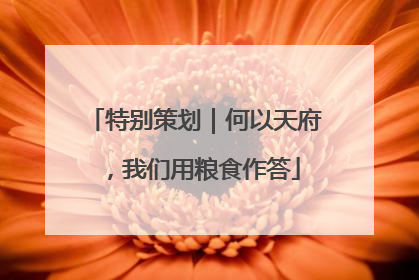特别策划｜何以天府，我们用粮食作答