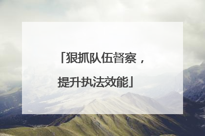 狠抓队伍督察，提升执法效能