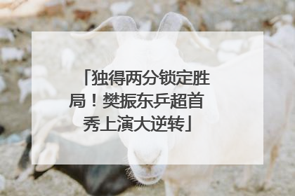 独得两分锁定胜局！樊振东乒超首秀上演大逆转