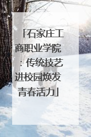 石家庄工商职业学院：传统技艺进校园焕发青春活力