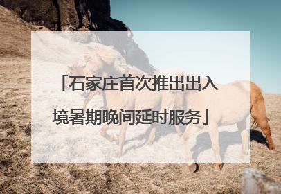 石家庄首次推出出入境暑期晚间延时服务
