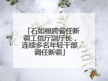 石如根跨省任新疆工信厅副厅长，连续多名年轻干部调任新疆