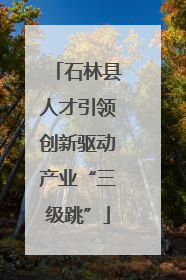 石林县人才引领创新驱动产业“三级跳”
