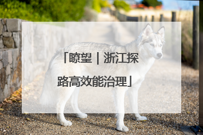 瞭望｜浙江探路高效能治理