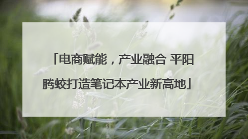 电商赋能，产业融合 平阳腾蛟打造笔记本产业新高地