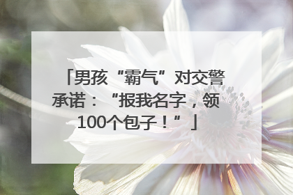 男孩“霸气”对交警承诺：“报我名字，领100个包子！”