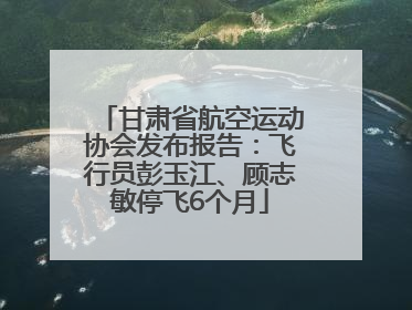 甘肃省航空运动协会发布报告：飞行员彭玉江、顾志敏停飞6个月