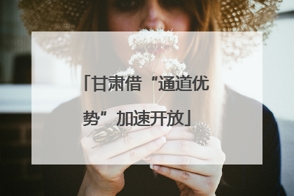 甘肃借“通道优势”加速开放