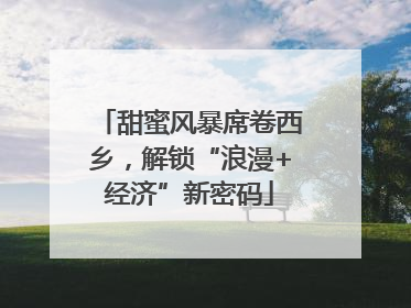 甜蜜风暴席卷西乡，解锁“浪漫+经济”新密码