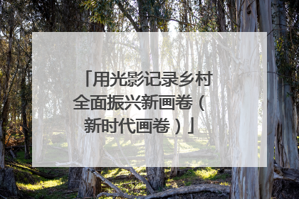 用光影记录乡村全面振兴新画卷（新时代画卷）