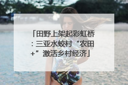 田野上架起彩虹桥：三亚水蛟村“农田+”激活乡村经济