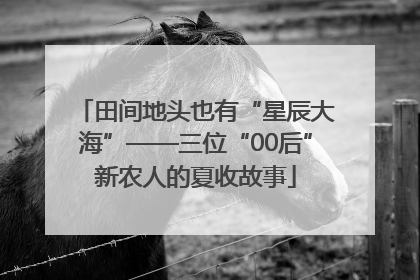 田间地头也有“星辰大海”——三位“00后”新农人的夏收故事