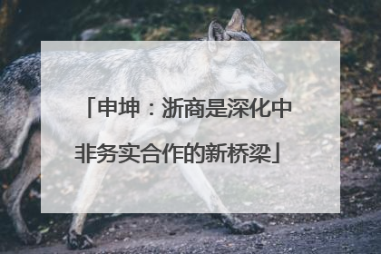 申坤：浙商是深化中非务实合作的新桥梁