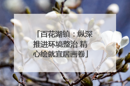 百花湖镇：纵深推进环境整治 精心绘就宜居画卷
