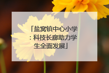 盐窝镇中心小学：科技长廊助力学生全面发展
