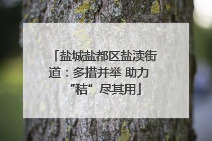 盐城盐都区盐渎街道：多措并举 助力“秸”尽其用