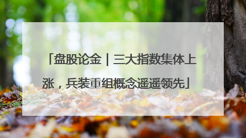 盘股论金｜三大指数集体上涨，兵装重组概念遥遥领先