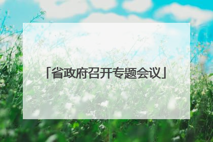 省政府召开专题会议