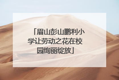 眉山彭山鹏利小学让劳动之花在校园绚丽绽放