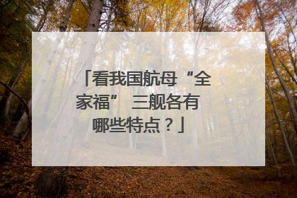 看我国航母“全家福” 三舰各有哪些特点？