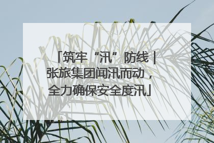 筑牢“汛”防线｜张旅集团闻汛而动，全力确保安全度汛