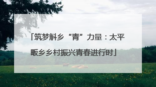 筑梦斛乡“青”力量：太平畈乡乡村振兴青春进行时