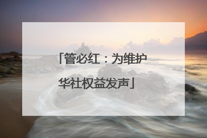 管必红：为维护华社权益发声