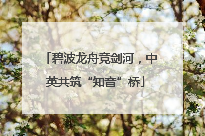 碧波龙舟竞剑河，中英共筑“知音”桥