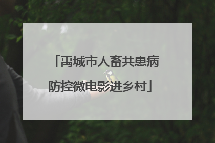 禹城市人畜共患病防控微电影进乡村