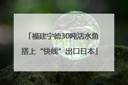 福建宁德30吨活水鱼搭上“快线”出口日本