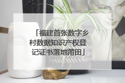 福建首张数字乡村数据知识产权登记证书落地莆田
