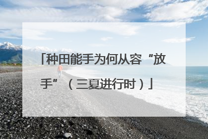 种田能手为何从容“放手”（三夏进行时）