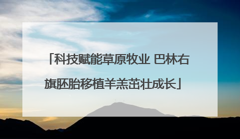 科技赋能草原牧业 巴林右旗胚胎移植羊羔茁壮成长