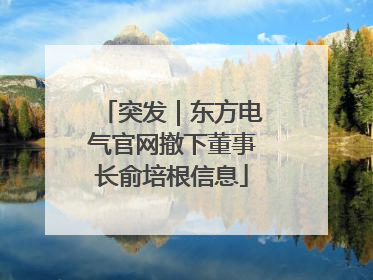 突发｜东方电气官网撤下董事长俞培根信息