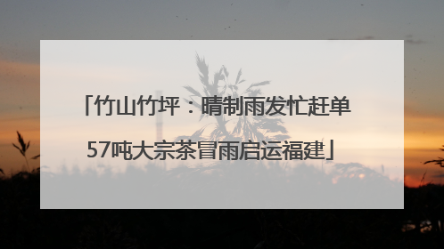 竹山竹坪：晴制雨发忙赶单 57吨大宗茶冒雨启运福建