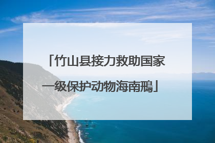 竹山县接力救助国家一级保护动物海南鳽