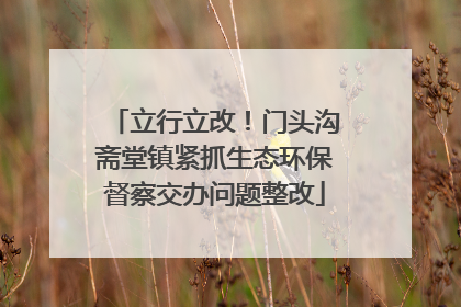 立行立改！门头沟斋堂镇紧抓生态环保督察交办问题整改