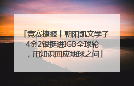 竞赛捷报丨朝阳凯文学子4金2银挺进IGB全球轮，用知识回应地球之问